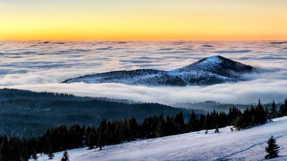 Apartman Premier 32 Milmari Kopaonik Exterior foto