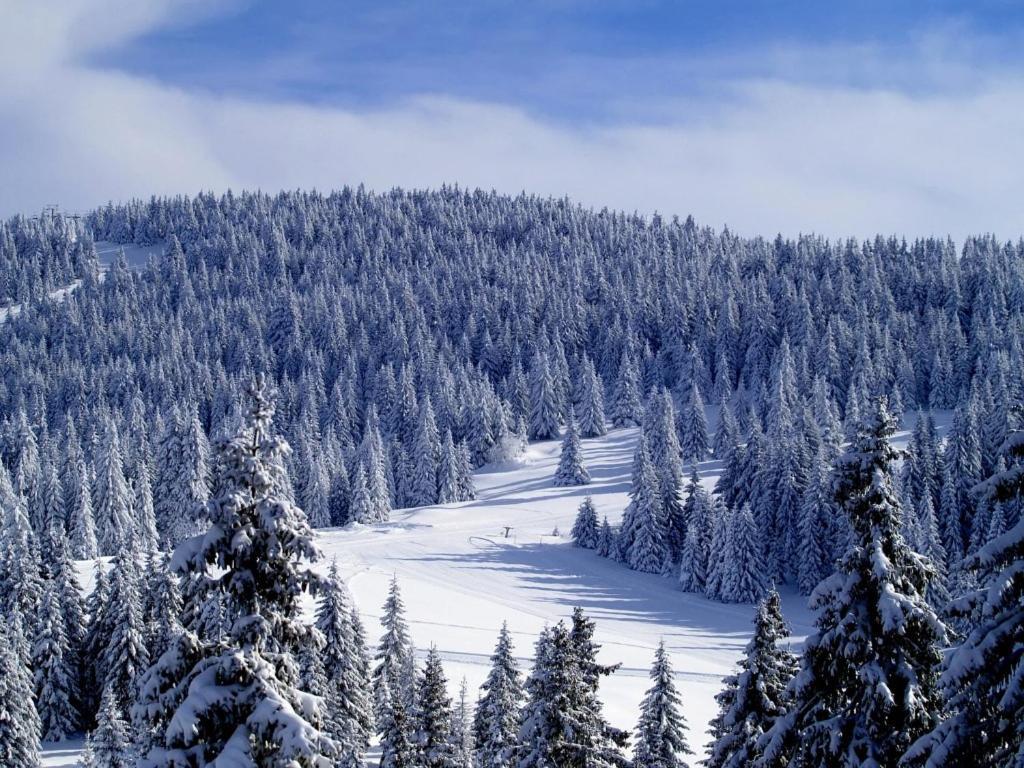 Apartman Premier 32 Milmari Kopaonik Exterior foto